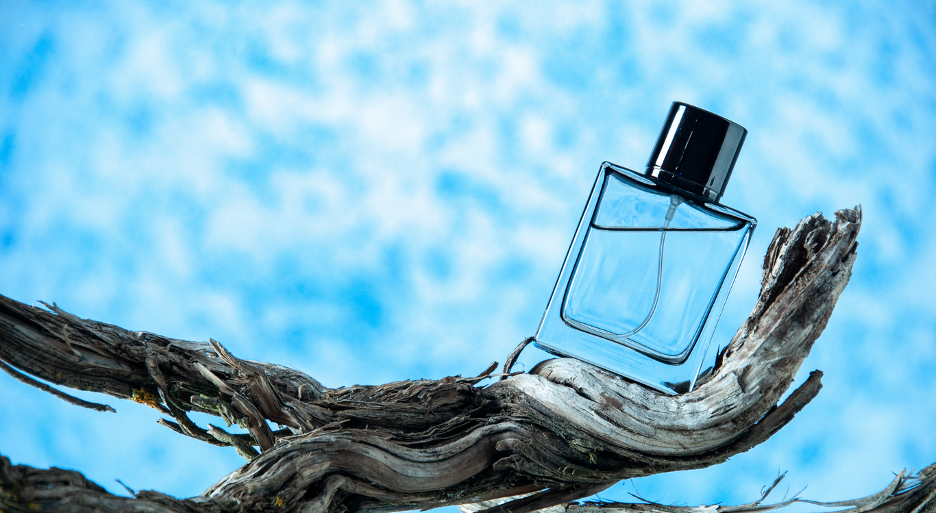 Еда и напитки